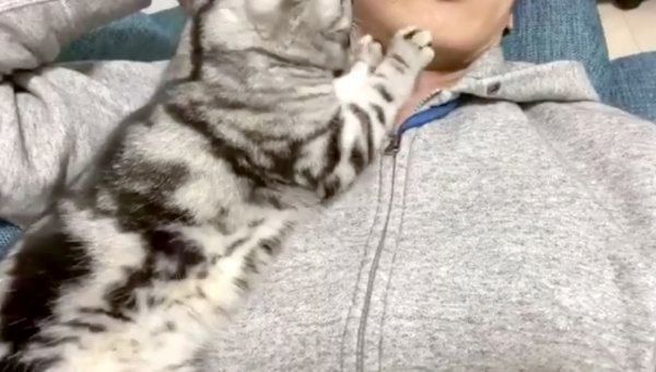 飼い主さんの顔をフミフミするアビーちゃん