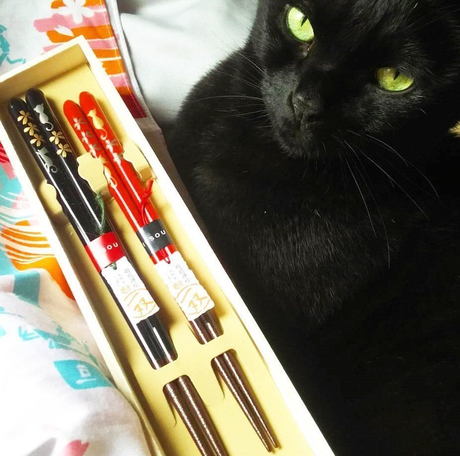 桜と猫の柄のペア箸