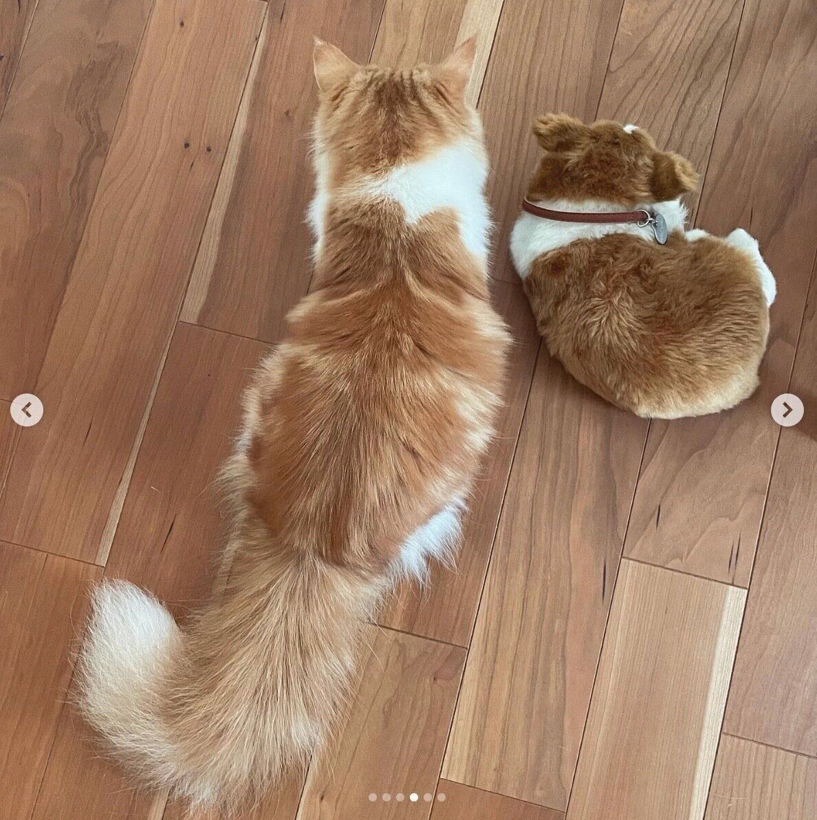 1才になったなぎちゃん