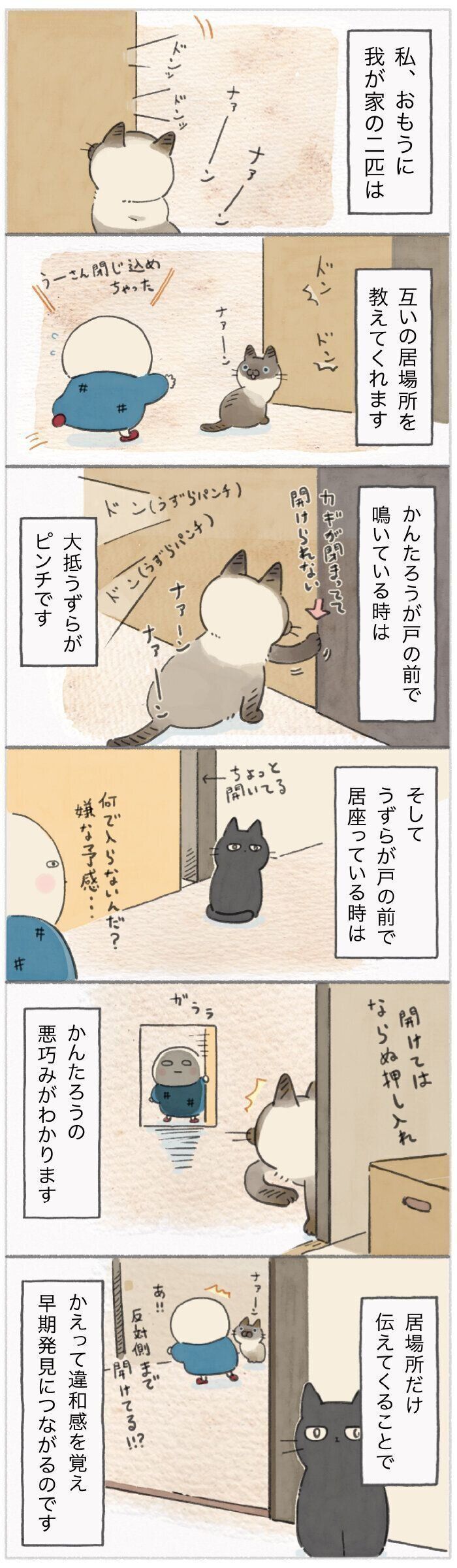 「ねこ連れ草」221話め