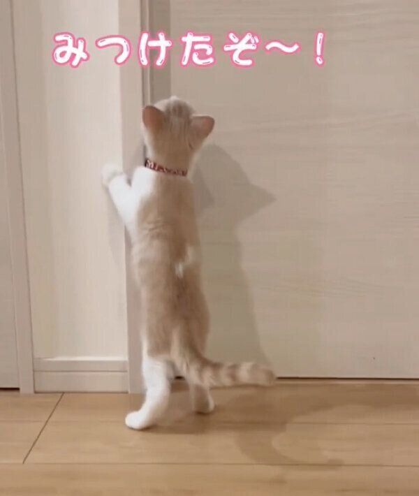 ママさんのことを探すなるとくん