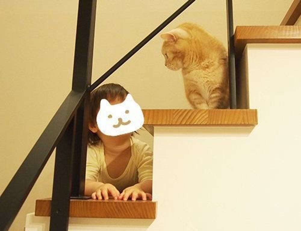 猫の横顔って美しい ぷーちゃんの横顔 マンチカンのぷーちゃん Vol 64 ねこのきもちweb Magazine 猫の横顔って美しい ぷーちゃんの横顔 マンチカンのぷーちゃん Vol 64 ねこのきもちweb Magazine