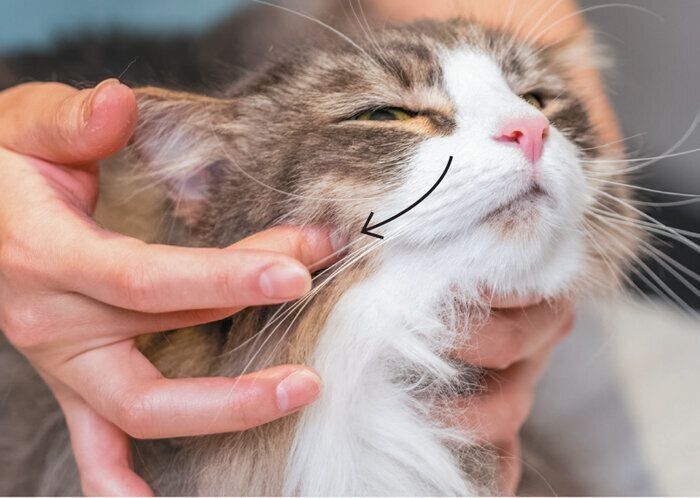 10回程度繰り返すと○