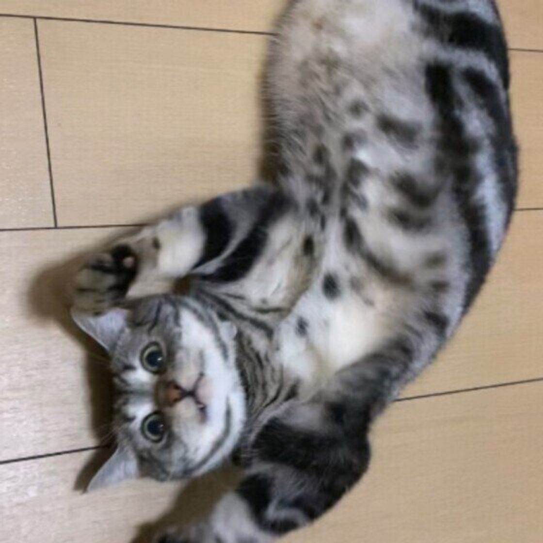 K Kfx6zpine5tm K Kfx6zpine5tm