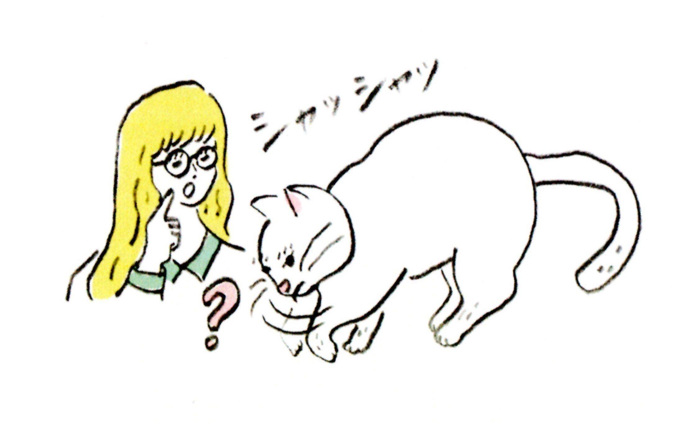 イラスト／タカヒロコ