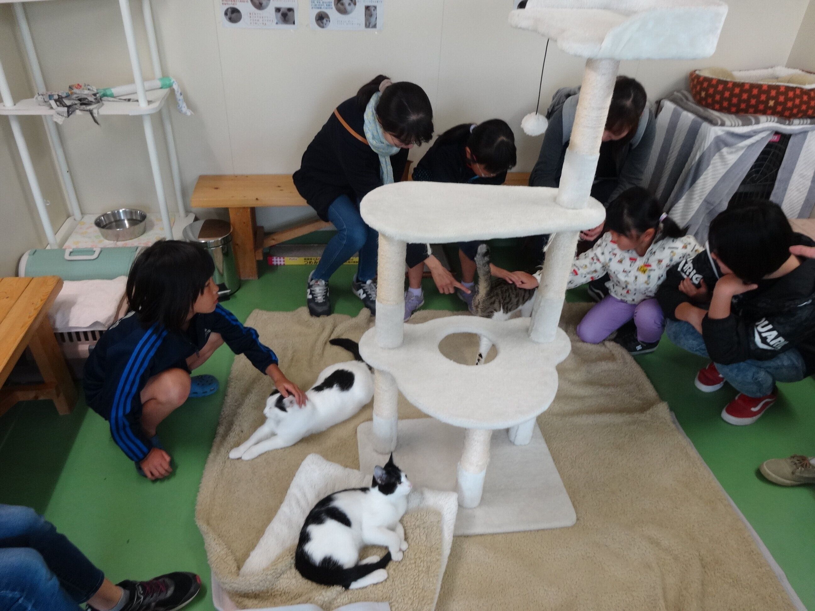 青森県動物愛護センター