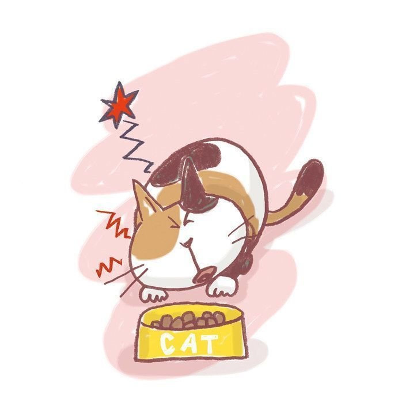 猫の歯周病 口内炎は人よりも重症化しやすいは本当 獣医師が解説します ねこのきもちweb Magazine 猫の歯周病 口内炎は人よりも重症化しやすいは本当 獣医師が解説します ねこのきもちweb Magazine
