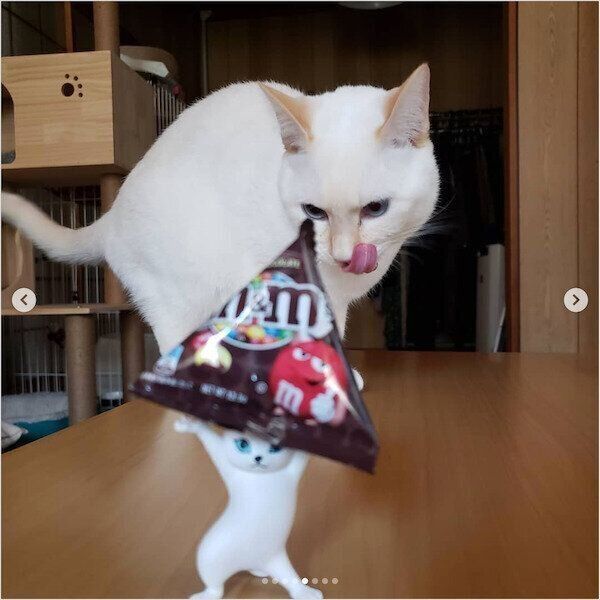 「ネコのペンおき」