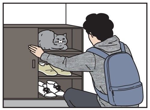 男の猫道 タイトル