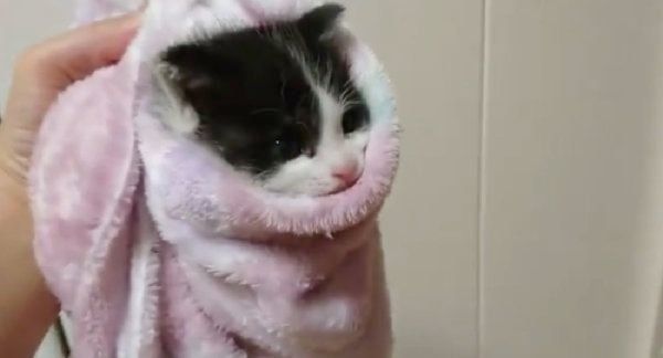 ミノムシのように包まる桜大夢ちゃん