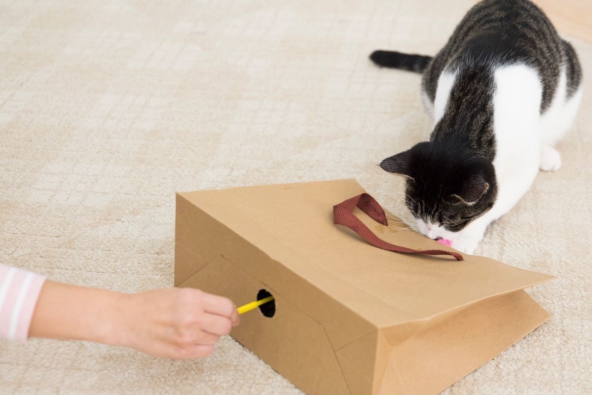 撮影／中川文作