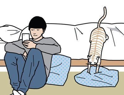 男の猫道　サムネイル