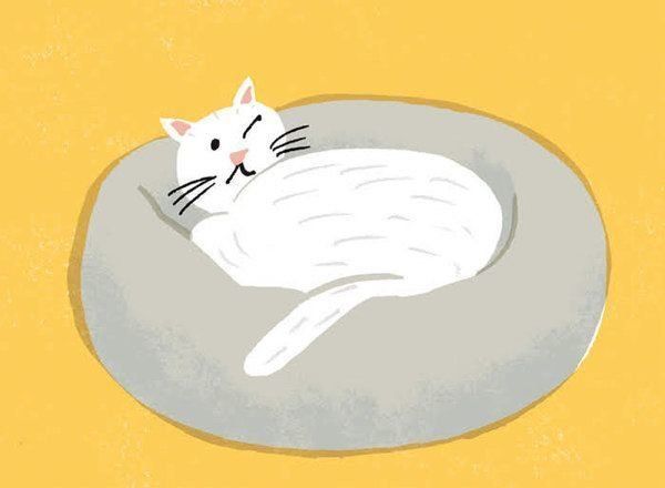 愛猫の幸せな後半生のために考えておくこととは