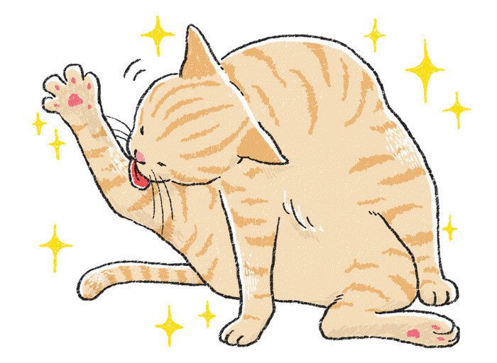 イラスト／おがわようこ