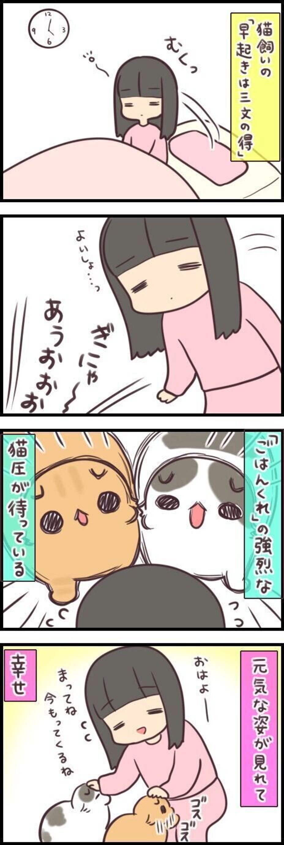 猫飼いの早起きは三文の徳すぎる 連載 もふもふスコたん 226 ねこのきもちweb Magazine 猫飼いの早起きは三文の徳すぎる 連載 もふもふスコたん 226 ねこのきもちweb Magazine
