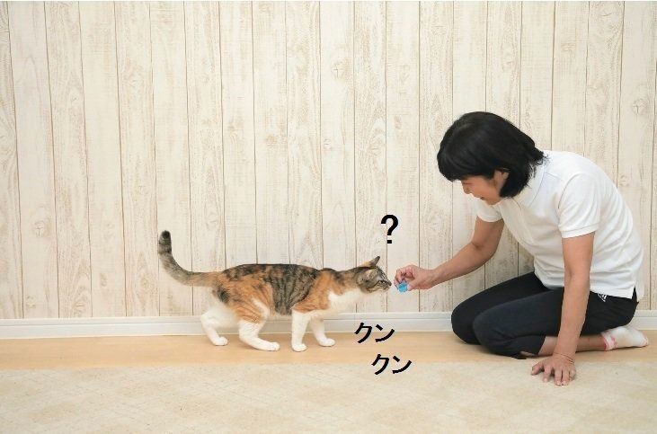 撮影／尾﨑たまき