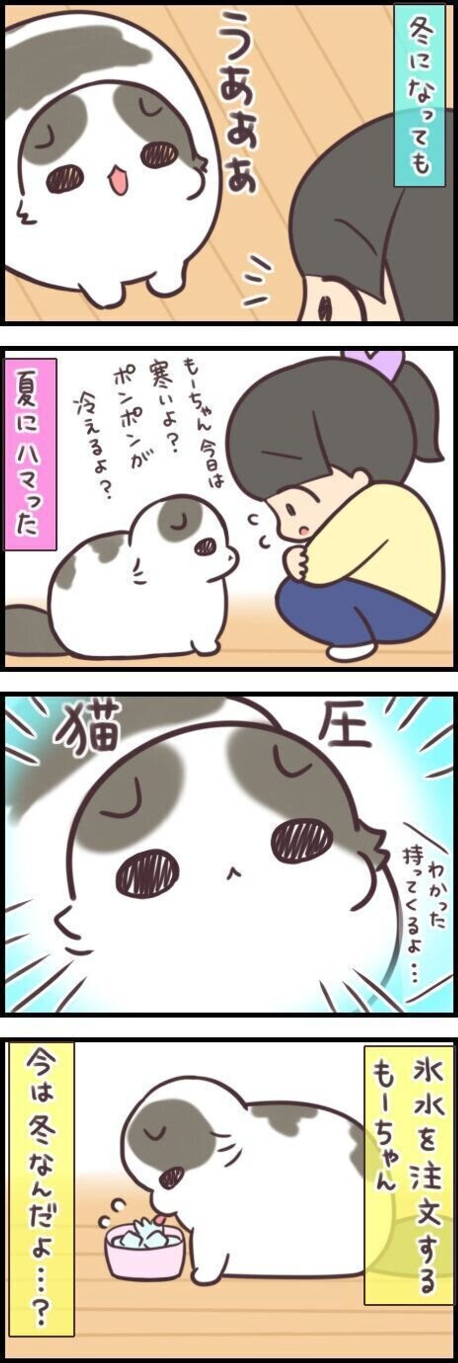 ポコポコ が合図 暖かさを熱望する猫もいれば 冷たさを要求する猫もいる 連載 もふもふスコたん 9 ねこのきもちweb Magazine ポコポコ が合図 暖かさを熱望する猫もいれば 冷たさを要求する猫もいる 連載 もふもふスコたん 9 ねこのきもちweb Magazine