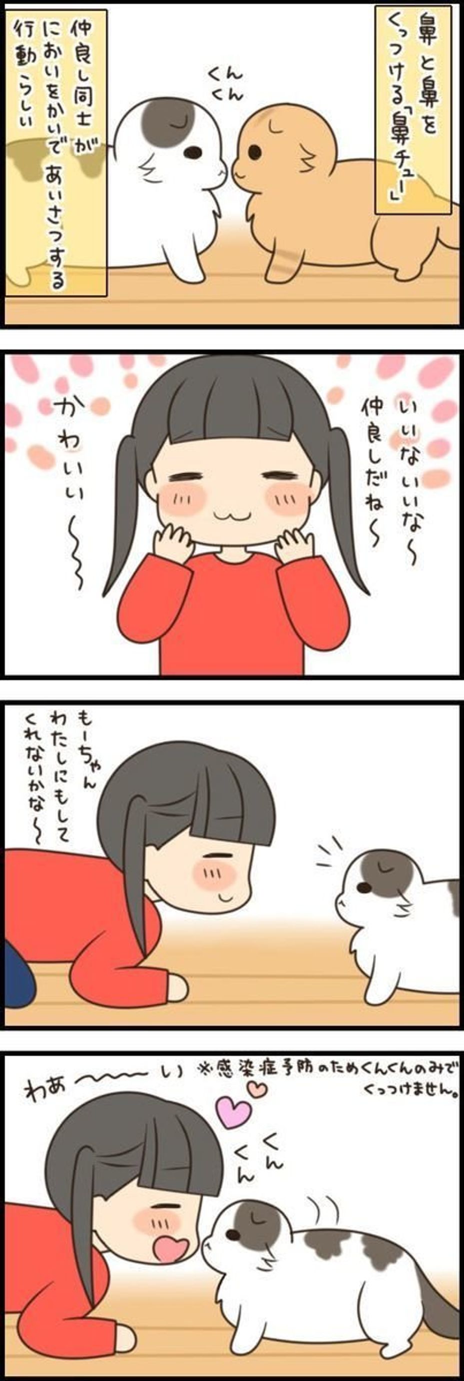 私にも鼻チューして すんなり鼻チュッチュしてくれるときもあれば もふもふスコたん Vol 45 ねこのきもちweb Magazine 私にも鼻チューして すんなり鼻チュッチュしてくれるときもあれば もふもふスコたん Vol 45 ねこのきもちweb Magazine