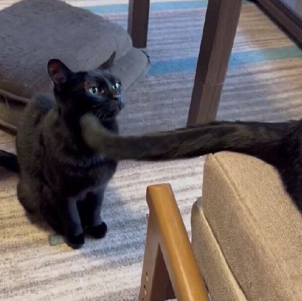 だいずちゃんとあんずちゃん