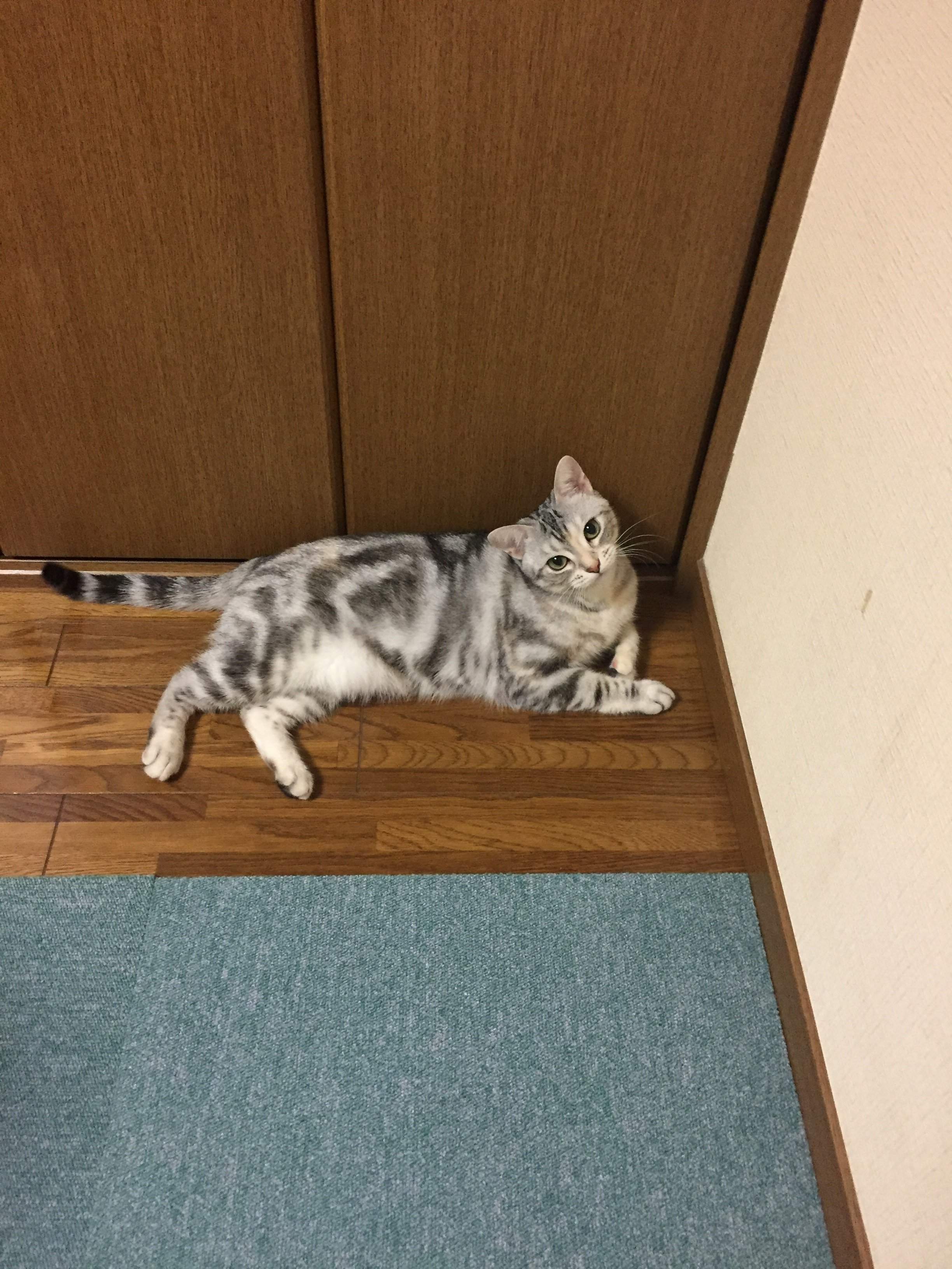 ©片倉真二／講談社