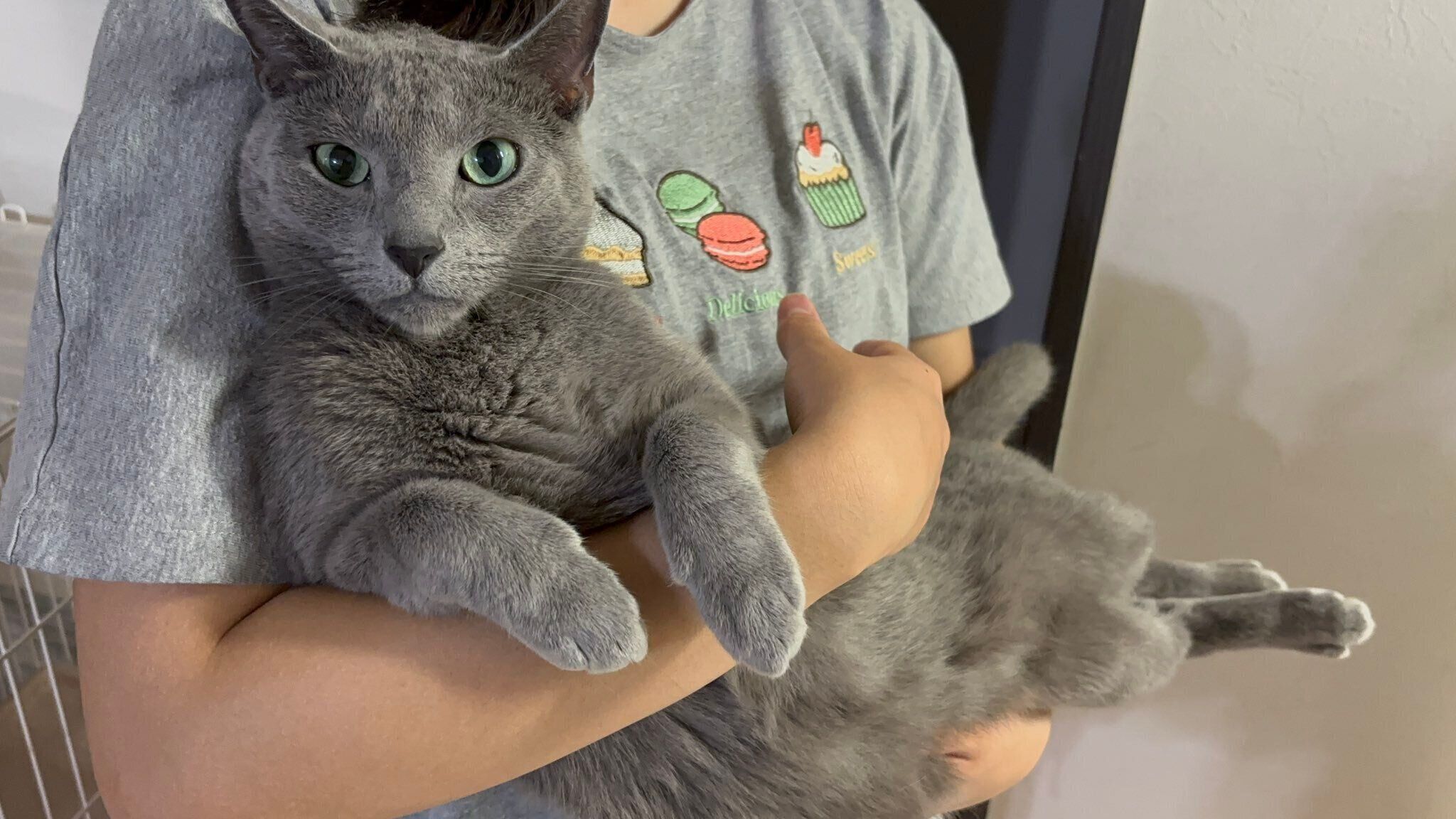 抱っこされるとあくん。