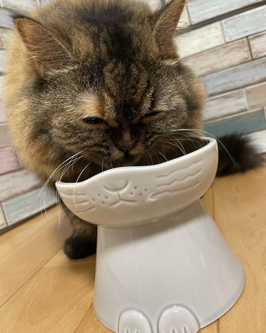 nnmaの美濃焼ボウル