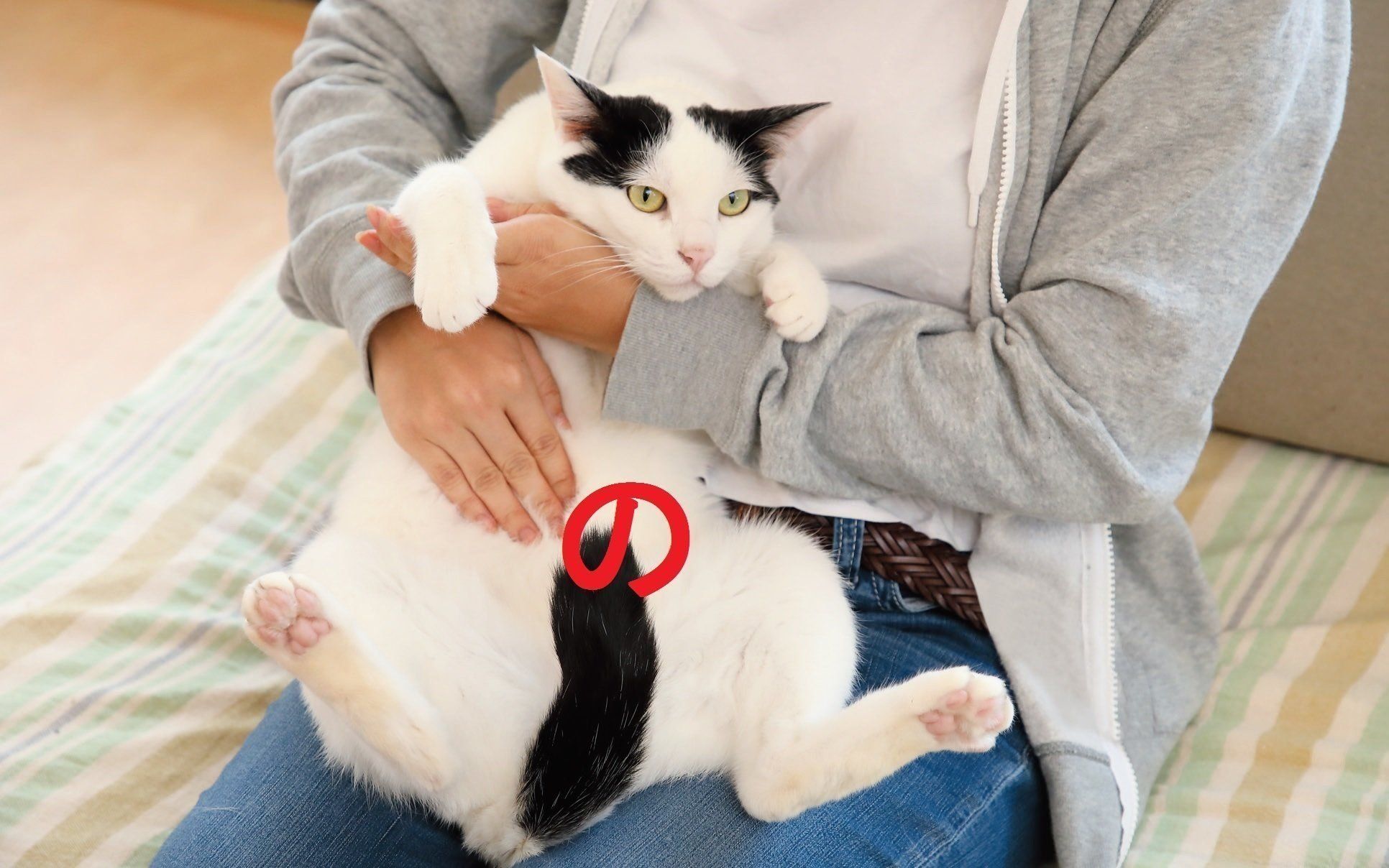 撮影／尾﨑たまき