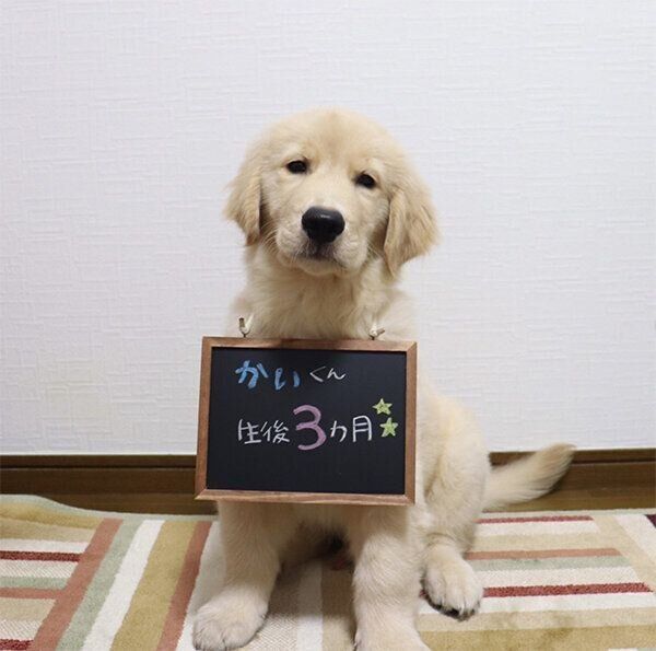 生後3カ月のかいくん