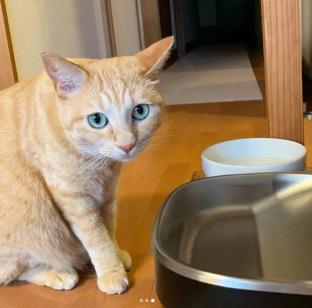 スタンバイするもいわちゃん