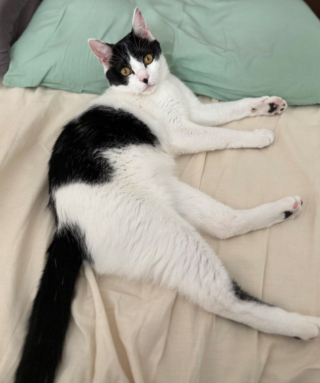 くつろぐむすびくん