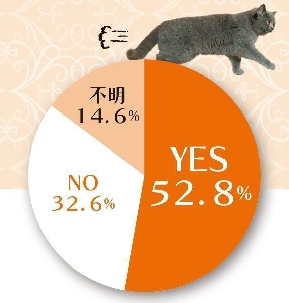 画像／2017年7月号『ニャ論調査2017 トイレ編』