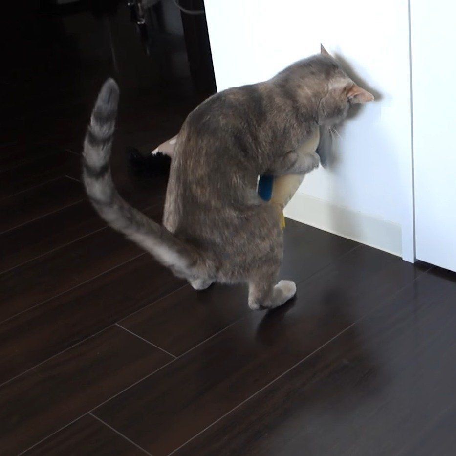 立ち上がるクリエちゃん