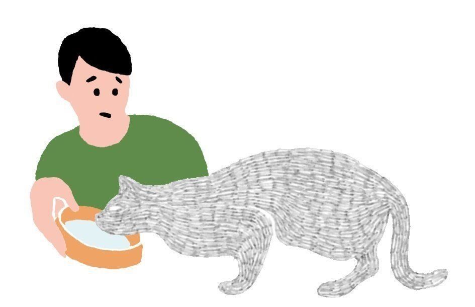 イラスト／柿崎サラ