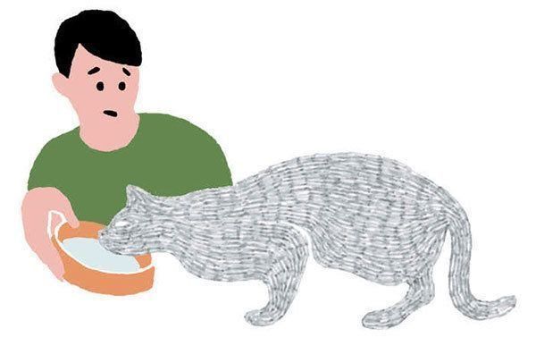 水や牛乳を飲ませる