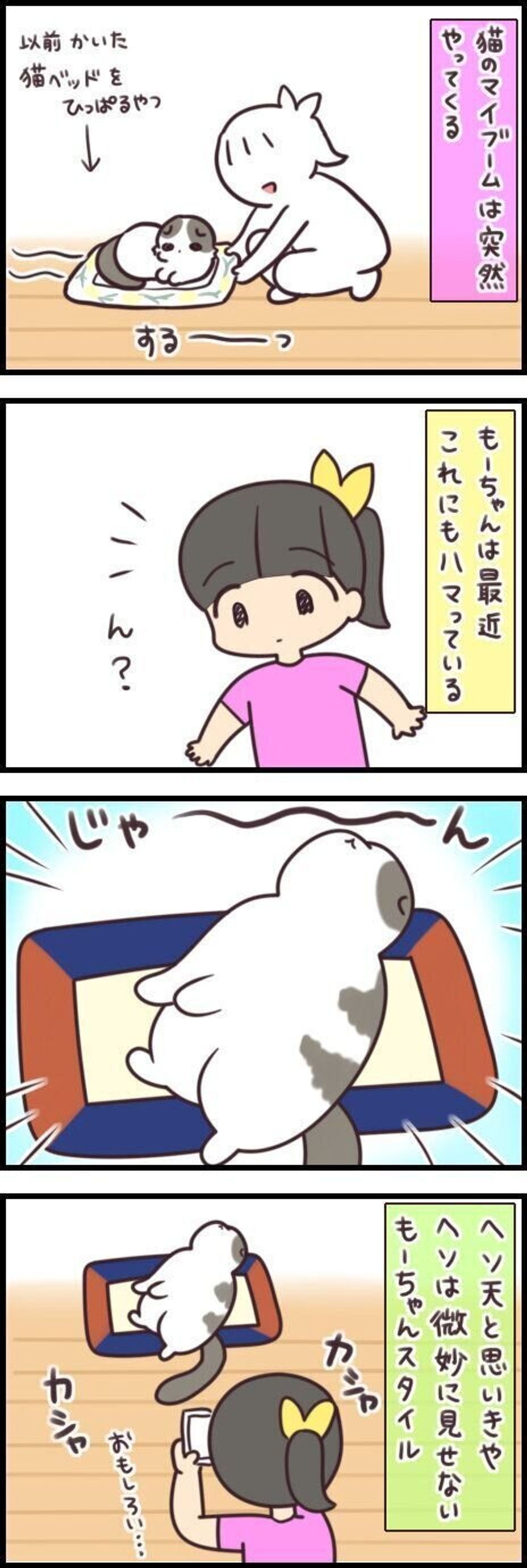 なんでこの状態に 最近ハマっている変てこなポーズとは 連載 もふもふスコたん 234 ねこのきもちweb Magazine なんでこの状態に 最近ハマっている変てこなポーズとは 連載 もふもふスコたん 234 ねこのきもちweb Magazine