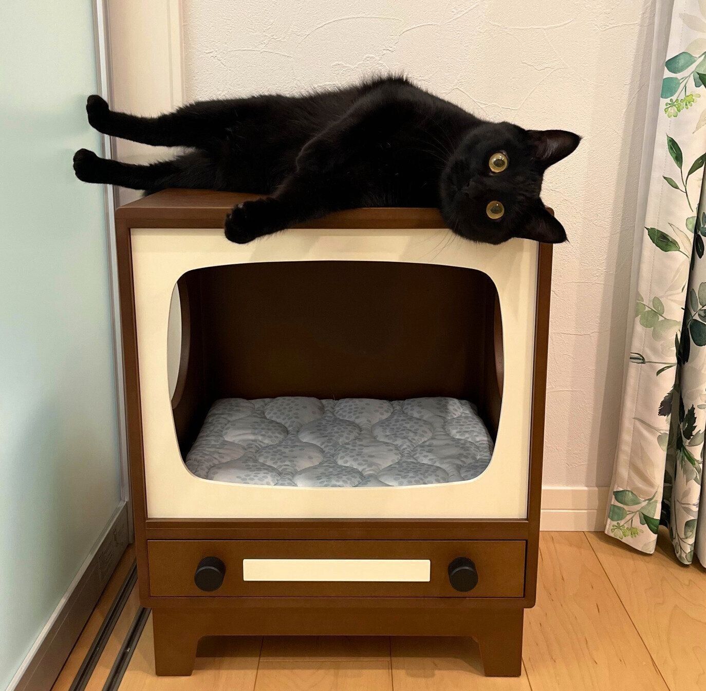 くつろぐうにくん