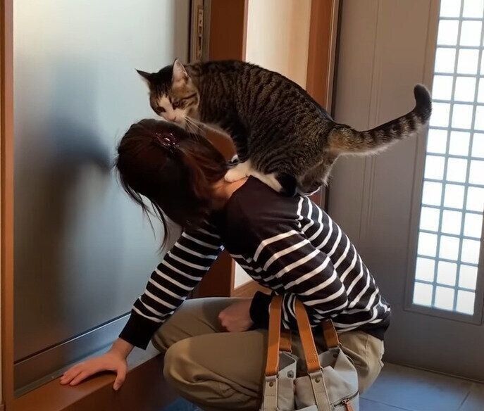 甘える猫