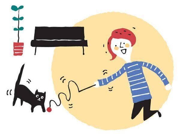 飼い主さんが気になる"おひとり猫"に関するアレコレ