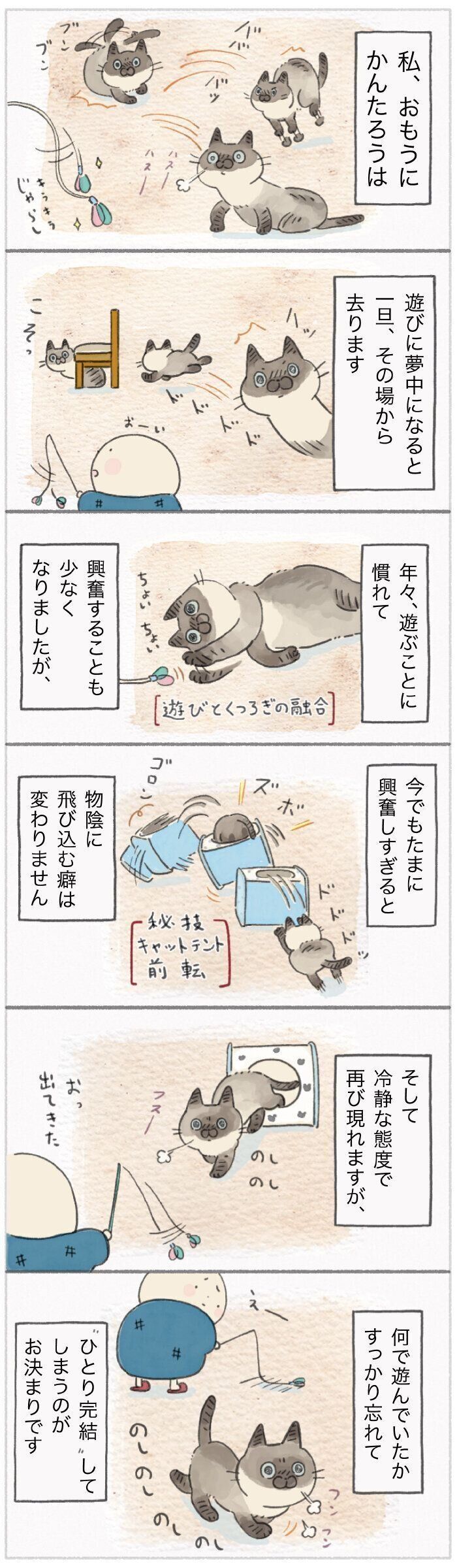 「ねこ連れ草」169話め