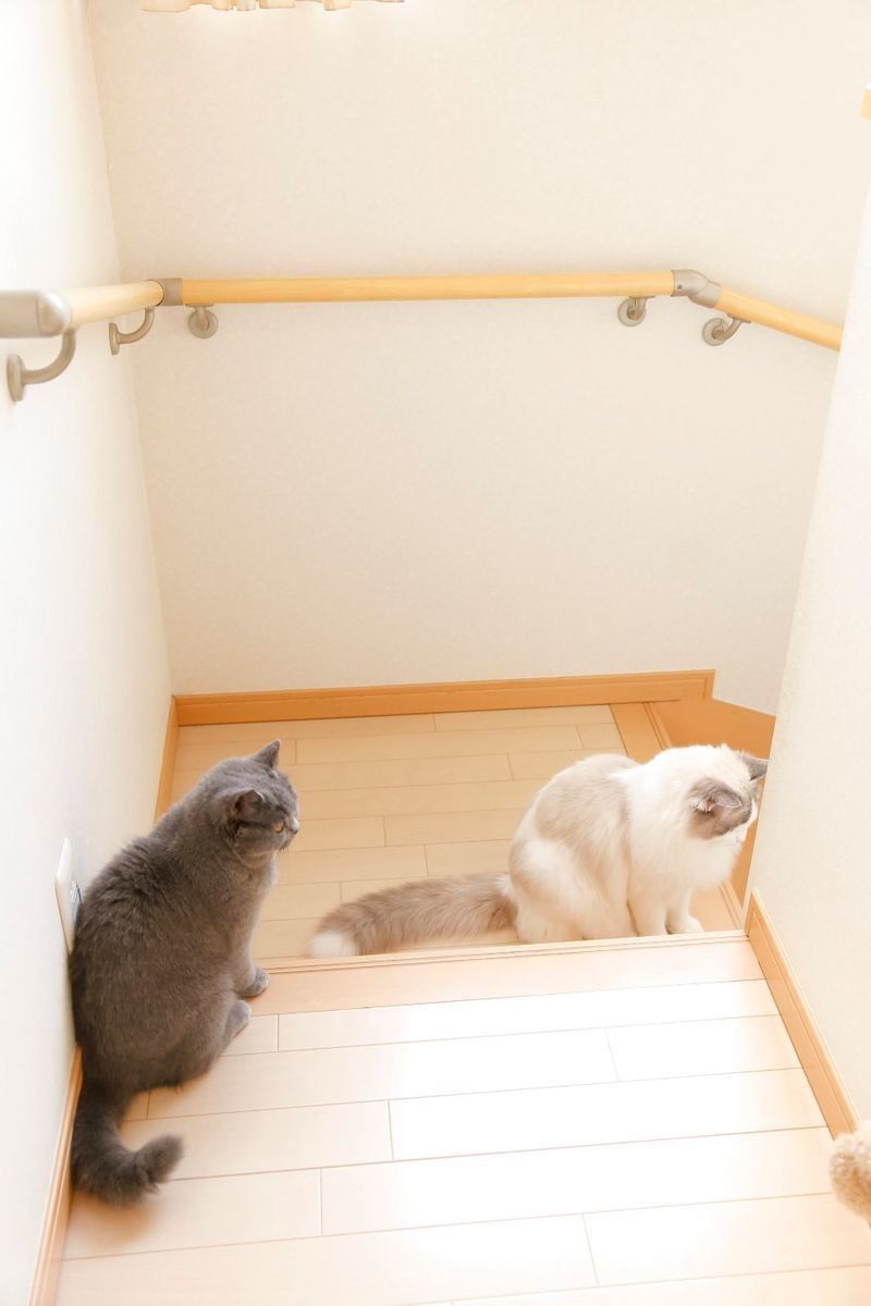 撮影／後藤さくら