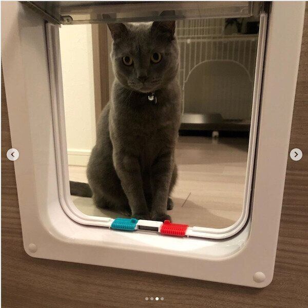 猫のペットドア