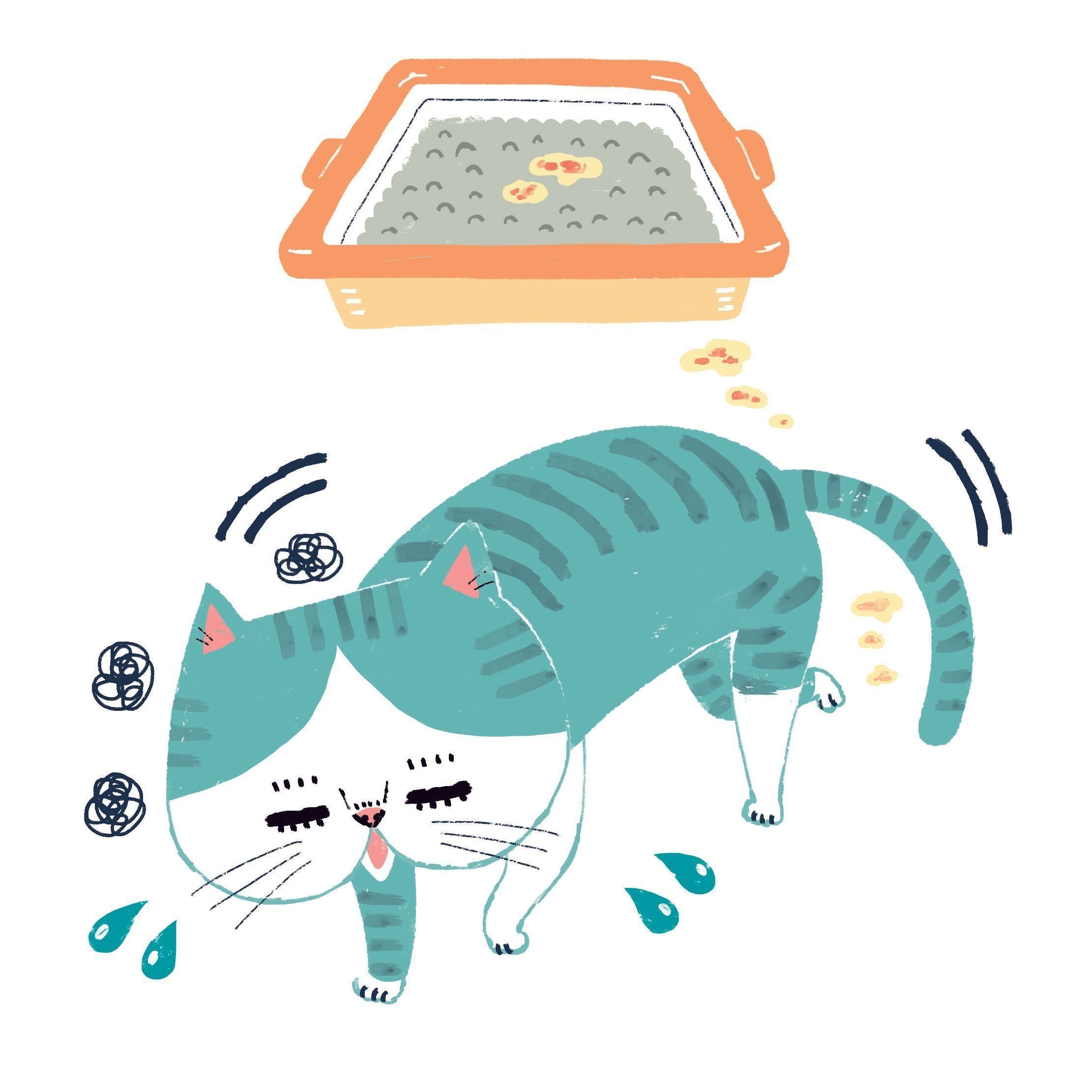 イラスト／Studio CUBE.