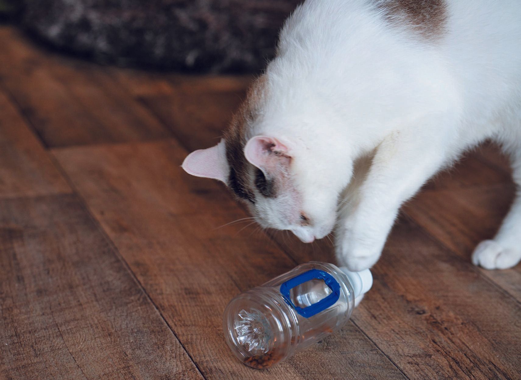 撮影／石原さくら