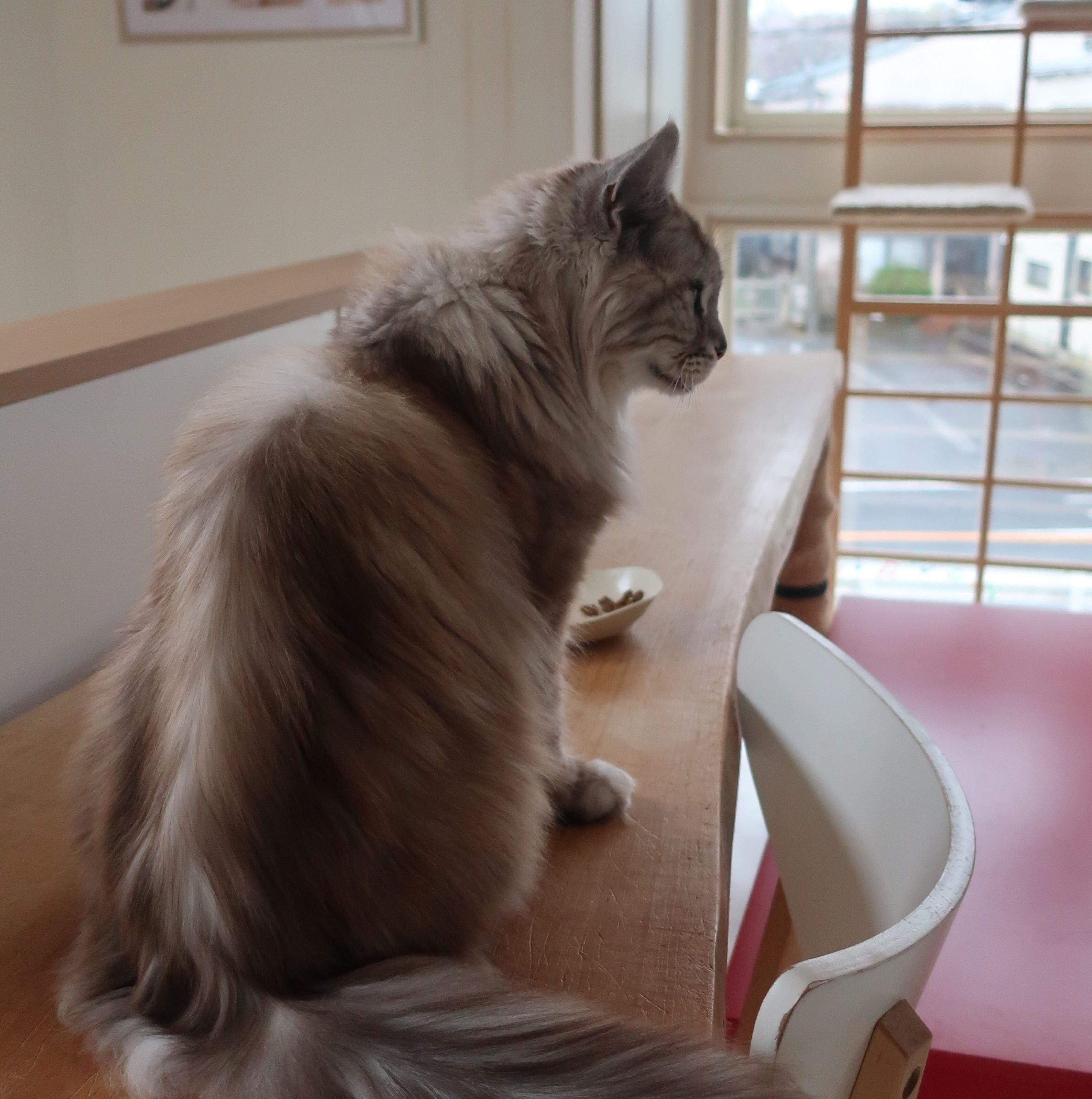 正面がガラス張りの明るい店内