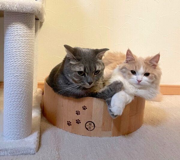 仲良しな凛太郎くんと和音ちゃん