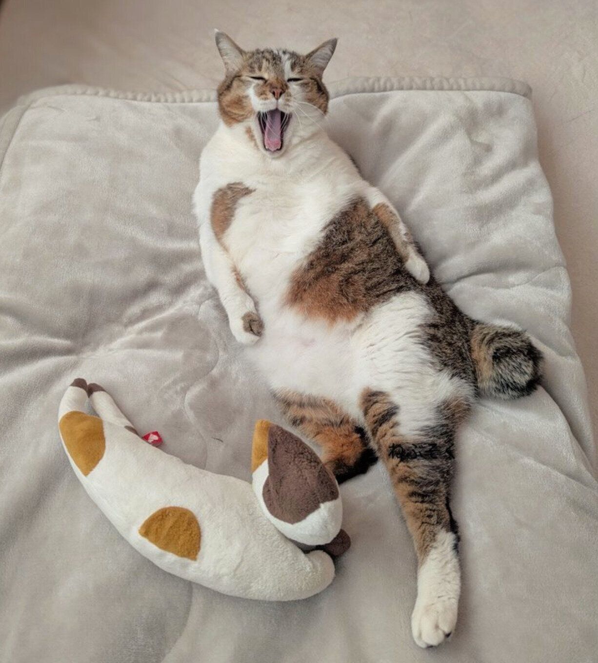 くつろぐつくねちゃん