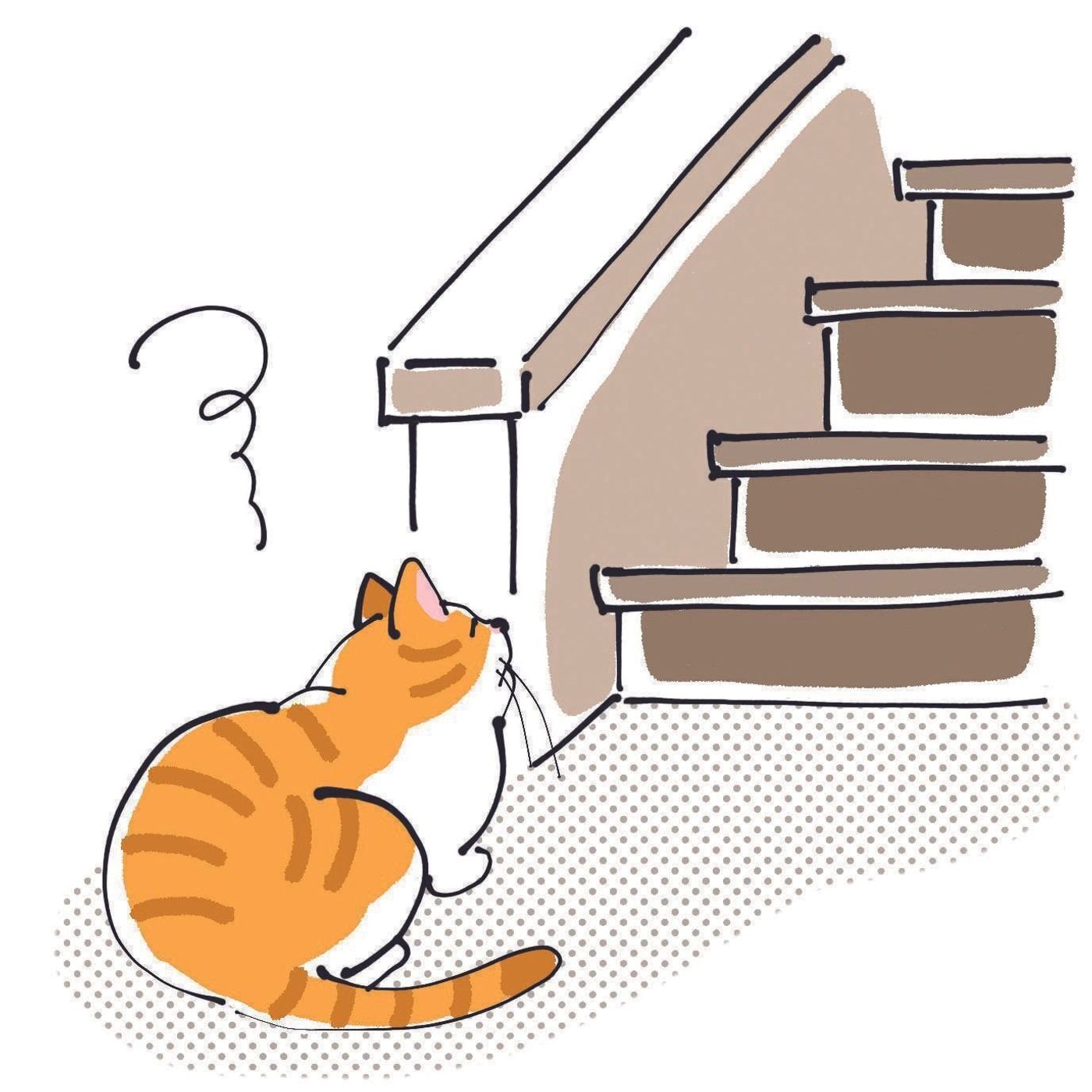 猫に多い心臓の病気 肥大型心筋症 の疑問にお答えします 獣医師解説 ねこのきもちweb Magazine 猫に多い心臓の病気 肥大型心筋症 の疑問にお答えします 獣医師解説 ねこのきもちweb Magazine