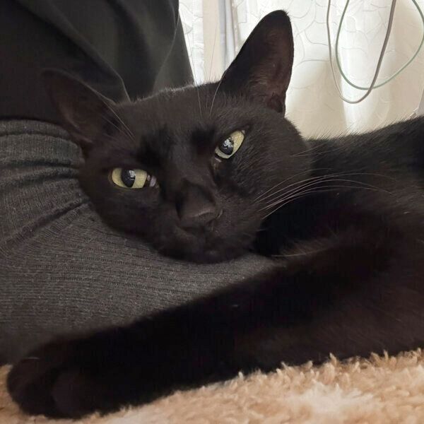 飼い主さんの足の甲を枕にするうにくん