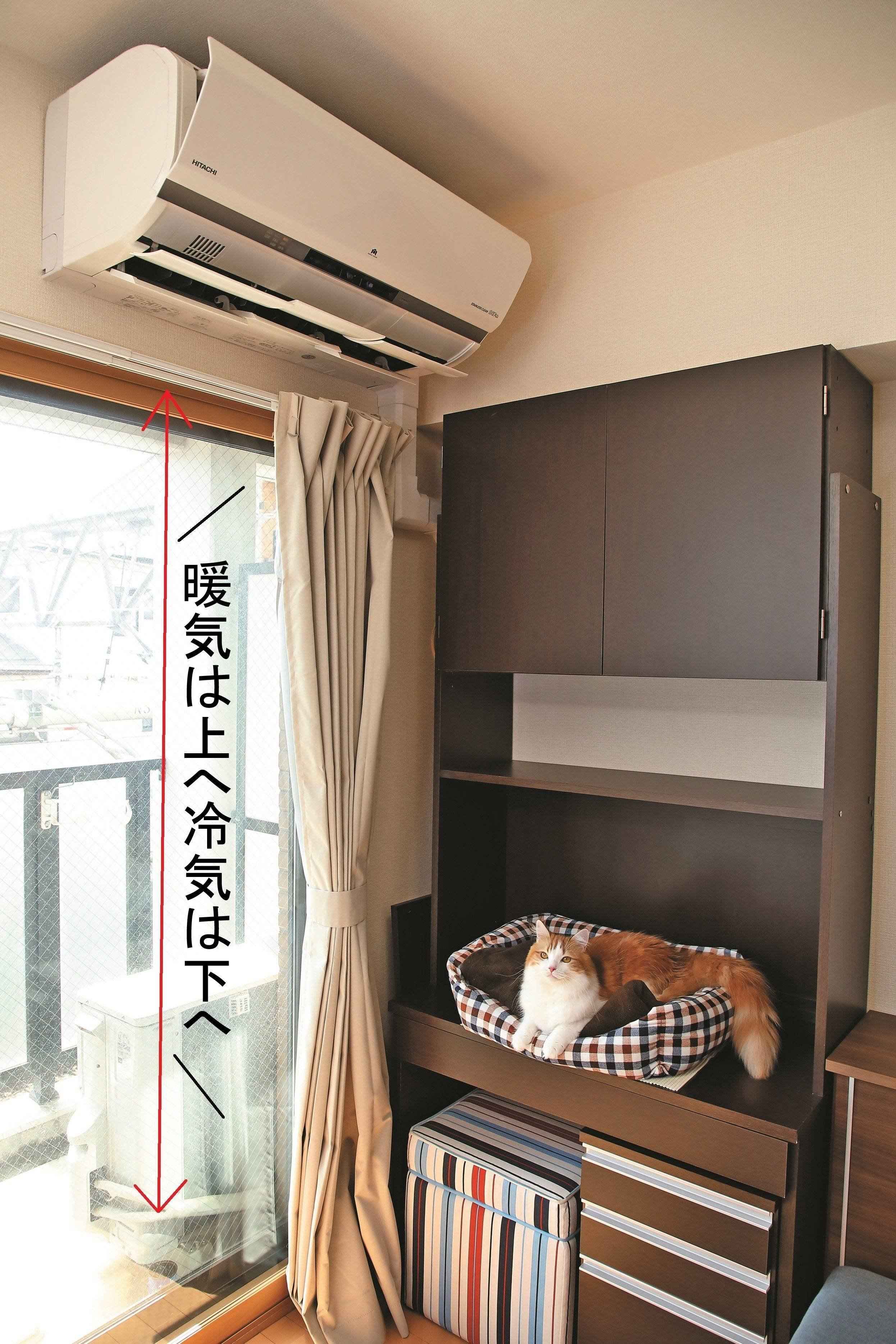 撮影／尾﨑たまき