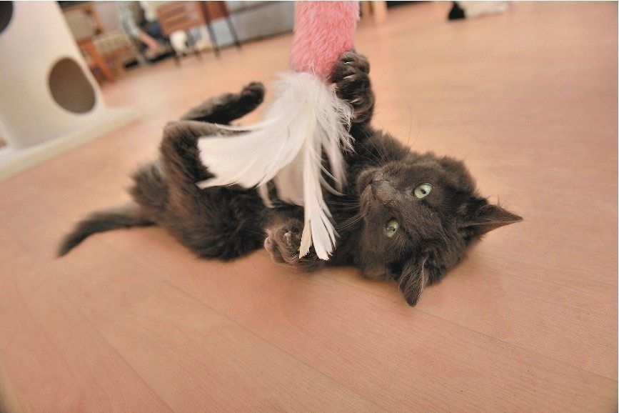 撮影／尾﨑たまき